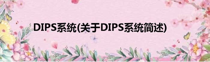 DIPS零星(对于DIPS零星简述)