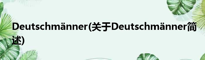 Deutschmänner(对于Deutschmänner简述)