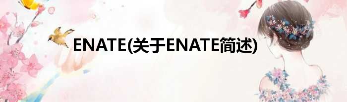 ENATE(对于ENATE简述)