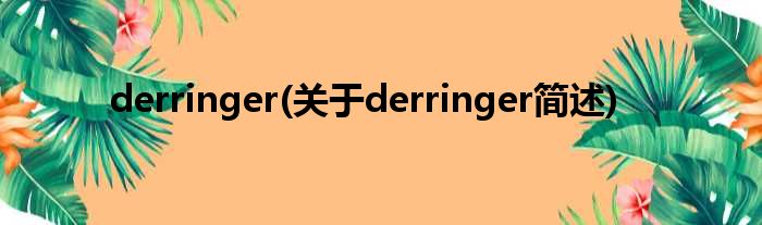 derringer(对于derringer简述)