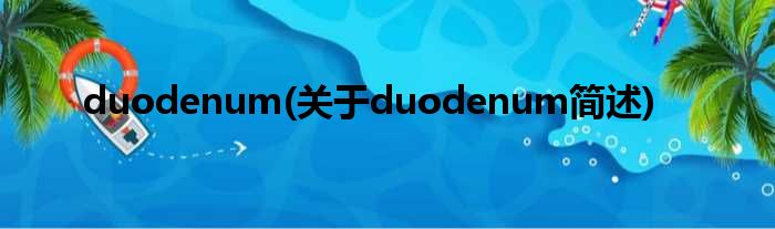 duodenum(对于duodenum简述)