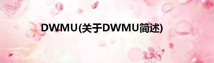 DWMU(对于DWMU简述)