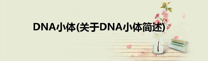 DNA小体(对于DNA小体简述)