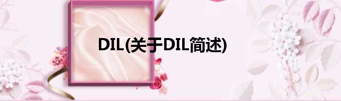 DIL(对于DIL简述)