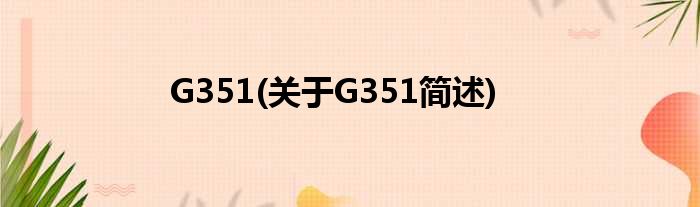G351(对于G351简述)