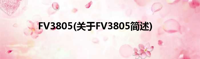 FV3805(对于FV3805简述)