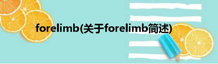 forelimb(对于forelimb简述)