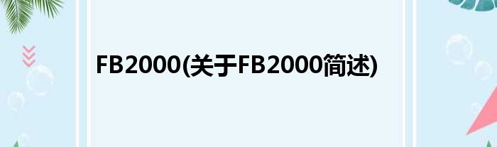 FB2000(对于FB2000简述)