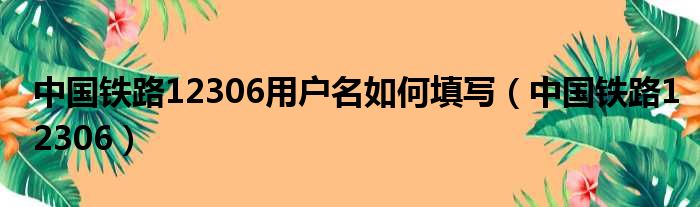 中国铁路12306用户名若何填写（中国铁路12306）