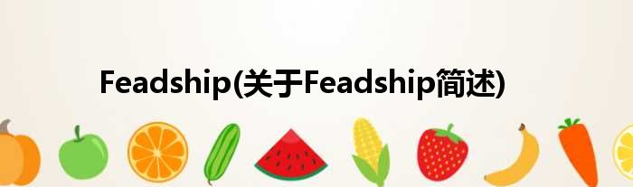 Feadship(对于Feadship简述)