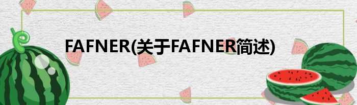 FAFNER(对于FAFNER简述)