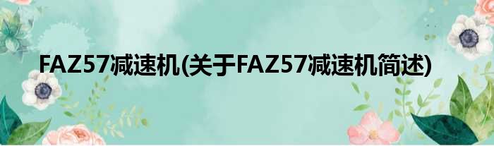 FAZ57减速机(对于FAZ57减速机简述)