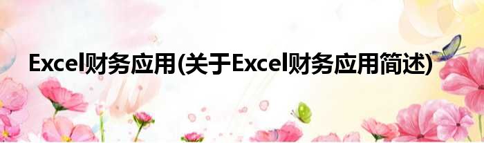 Excel财政运用(对于Excel财政运用简述)