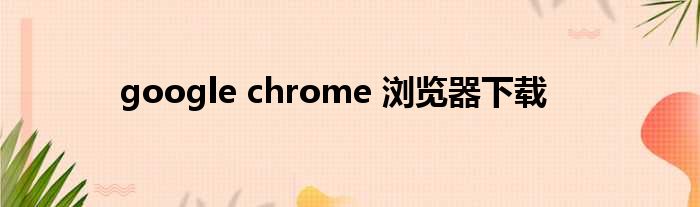google chrome 浏览器下载