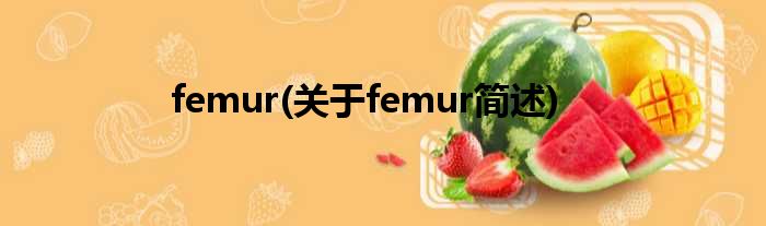 femur(对于femur简述)