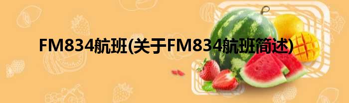 FM834航班(对于FM834航班简述)