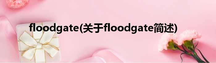 floodgate(对于floodgate简述)
