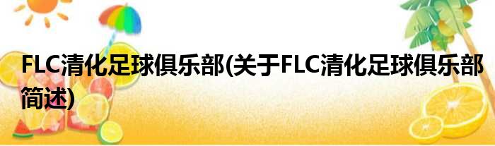 FLC清化足球俱乐部(对于FLC清化足球俱乐部简述)