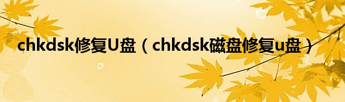 chkdsk修复U盘（chkdsk磁盘修复u盘）
