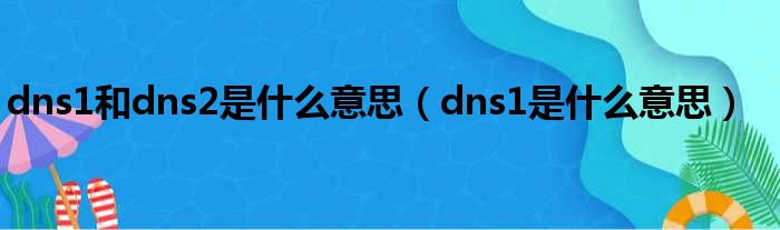 dns1以及dns2是甚么意思（dns1是甚么意思）