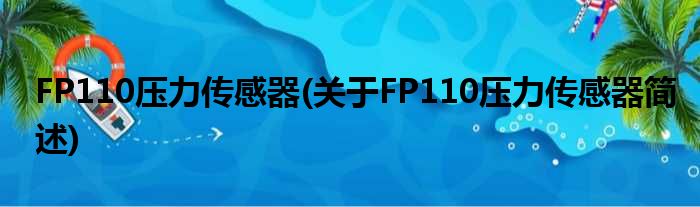 FP110压力传感器(对于FP110压力传感器简述)