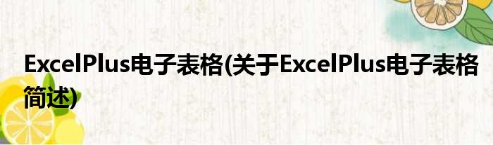 ExcelPlus电子表格(对于ExcelPlus电子表格简述)