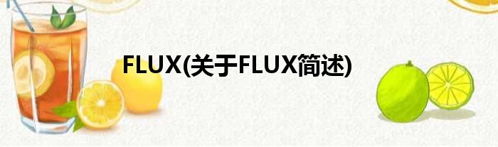 FLUX(对于FLUX简述)