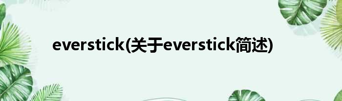 everstick(对于everstick简述)