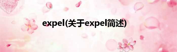 expel(对于expel简述)
