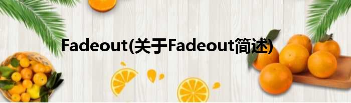 Fadeout(对于Fadeout简述)
