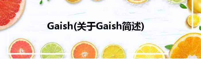 Gaish(对于Gaish简述)