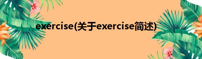 exercise(对于exercise简述)