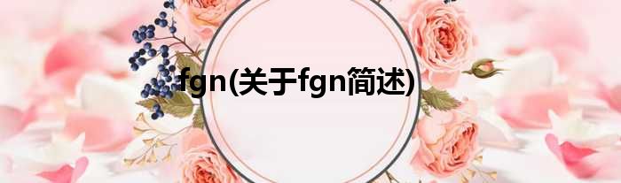 fgn(对于fgn简述)