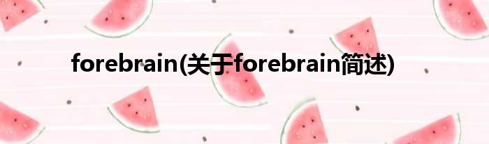 forebrain(对于forebrain简述)