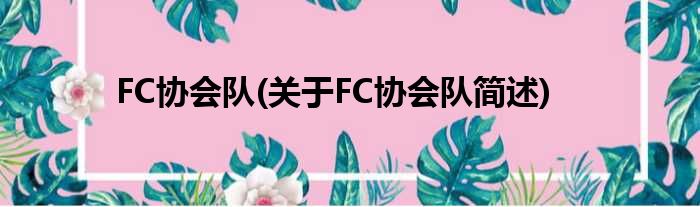 FC协会队(对于FC协会队简述)