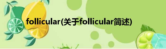follicular(对于follicular简述)