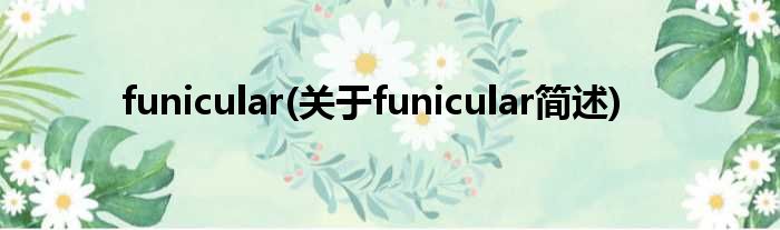 funicular(对于funicular简述)