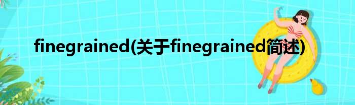 finegrained(对于finegrained简述)