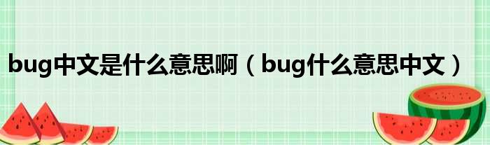 bug中文是甚么意思啊（bug甚么意思中文）