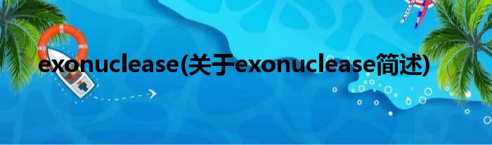 exonuclease(对于exonuclease简述)