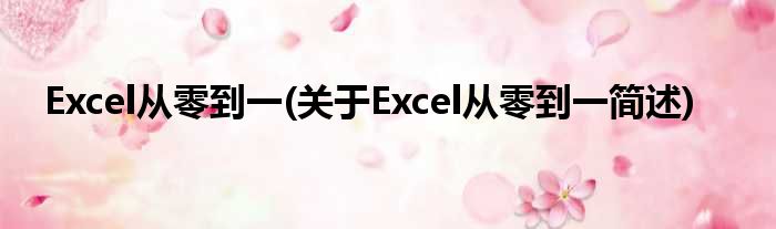 Excel从零到一(对于Excel从零到一简述)