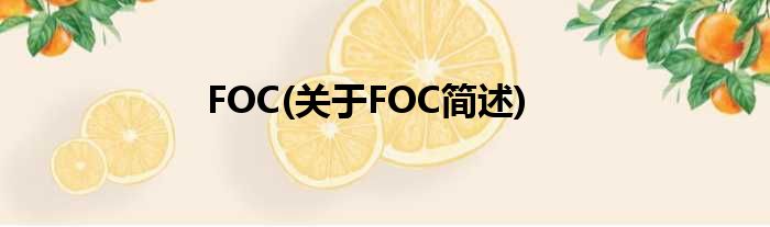 FOC(对于FOC简述)