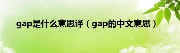 gap是甚么意思译（gap的中文意思）