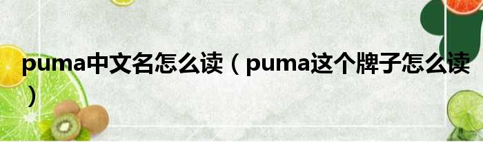 puma中文名奈何样读（puma这个牌子奈何样读）