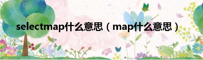 selectmap甚么意思（map甚么意思）