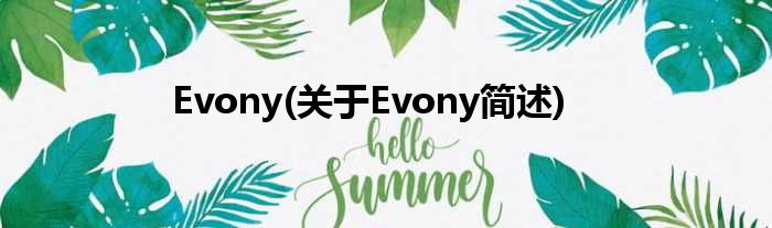 Evony(对于Evony简述)