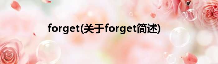 forget(对于forget简述)