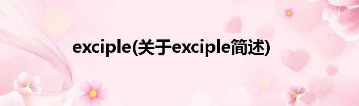 exciple(对于exciple简述)
