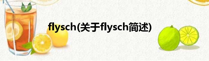flysch(对于flysch简述)