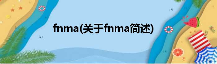 fnma(对于fnma简述)